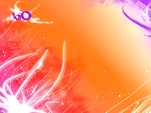 birthday gift from my son