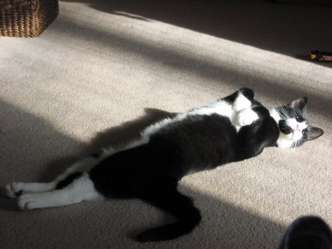 Busta striking a pose