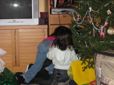 We could barely tell which screams were coming from the girls vs the Teenager!